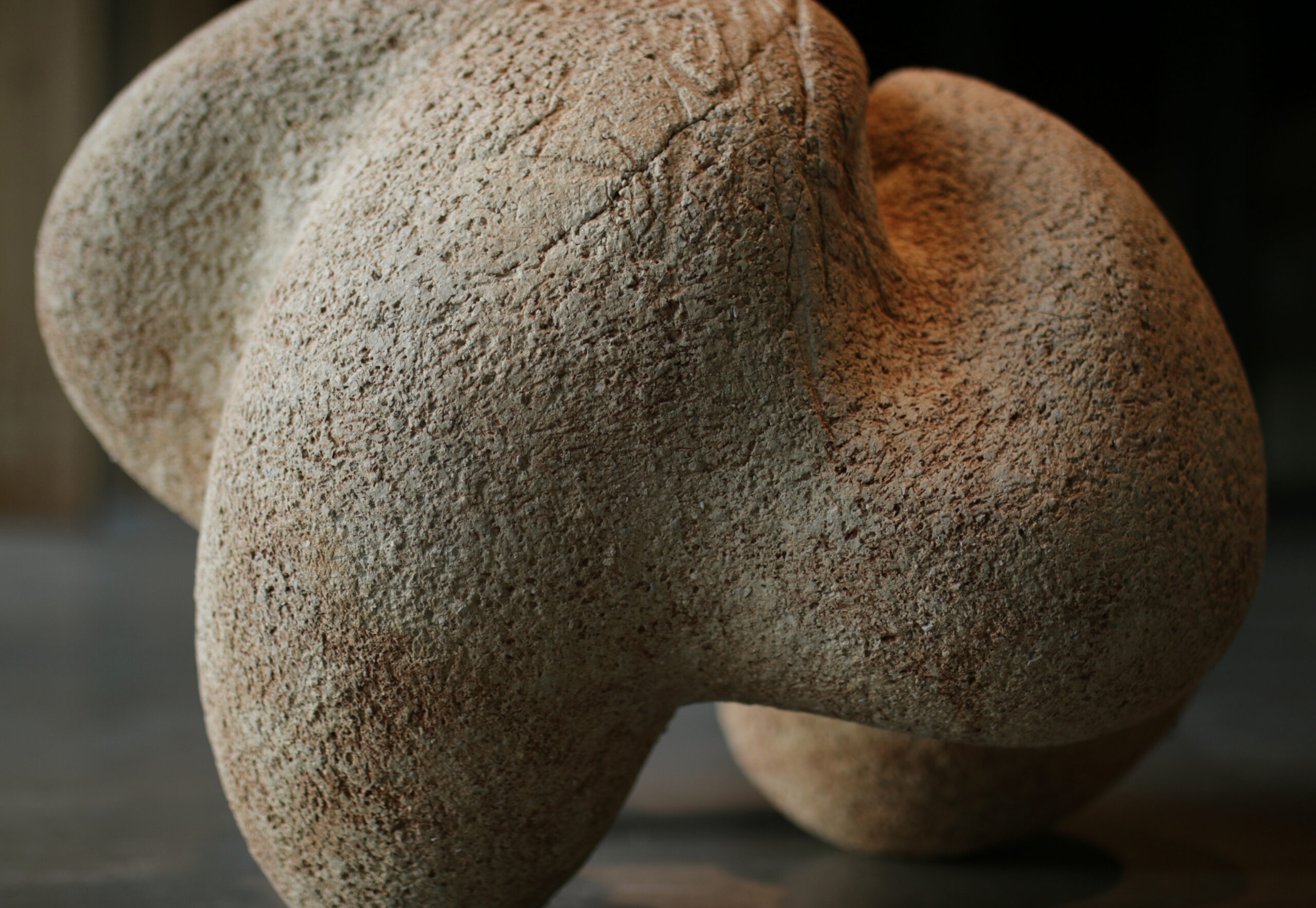 Walking Skin 18 (March Moves) - Afbeelding 4