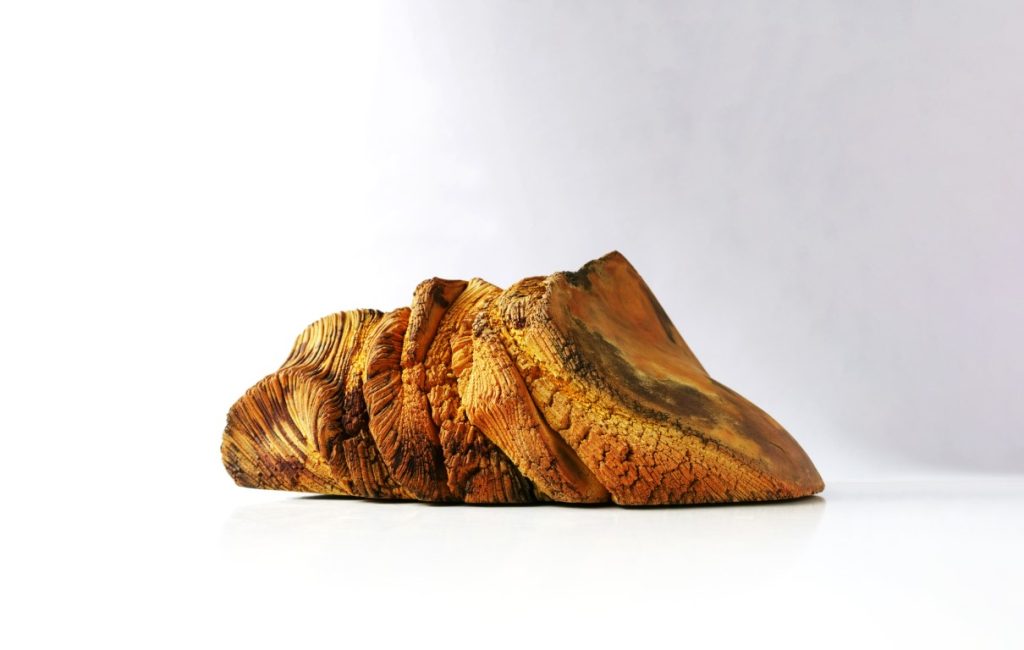 Transmutation Fossile II