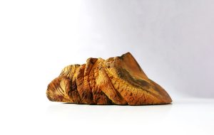 Transmutation Fossile II