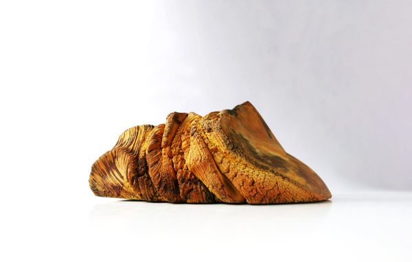 Transmutation Fossile II