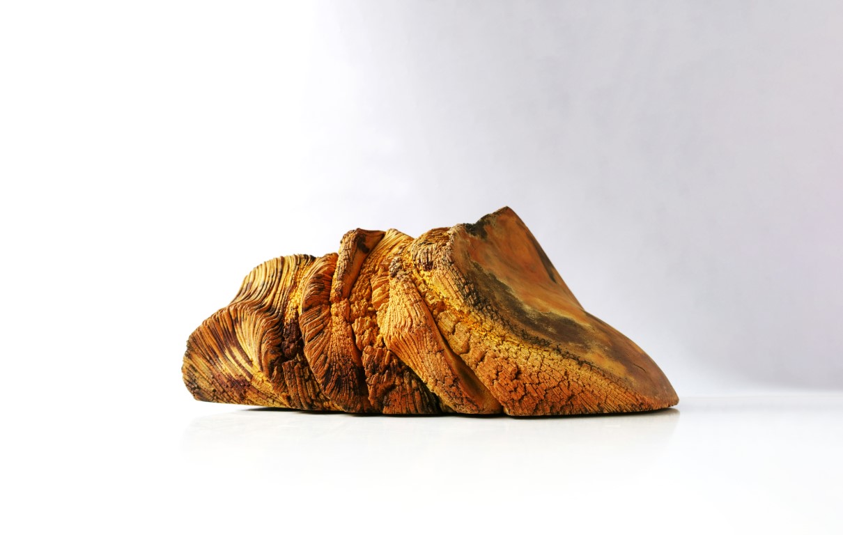 Transmutation Fossile II - Image 1