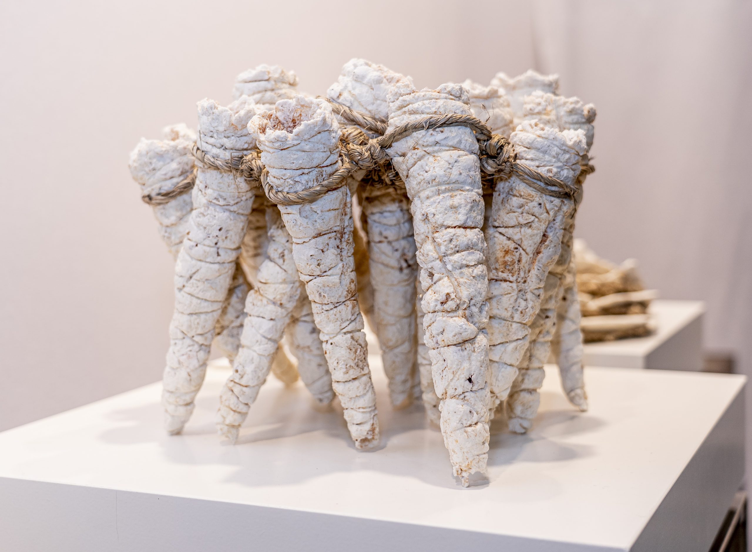 Cornes Votona - Image 1