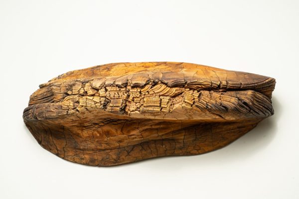 Transmutation Polyporus Fomentarius I