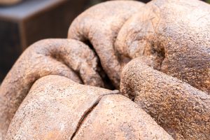 Walking Skin 23 - Image 3