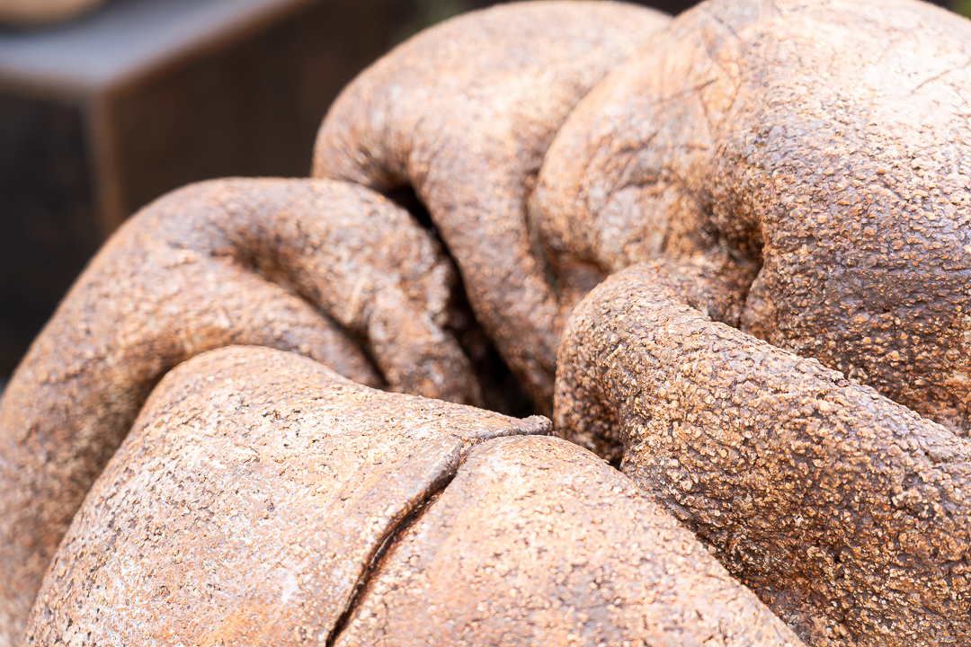 Walking Skin 23 - Image 3