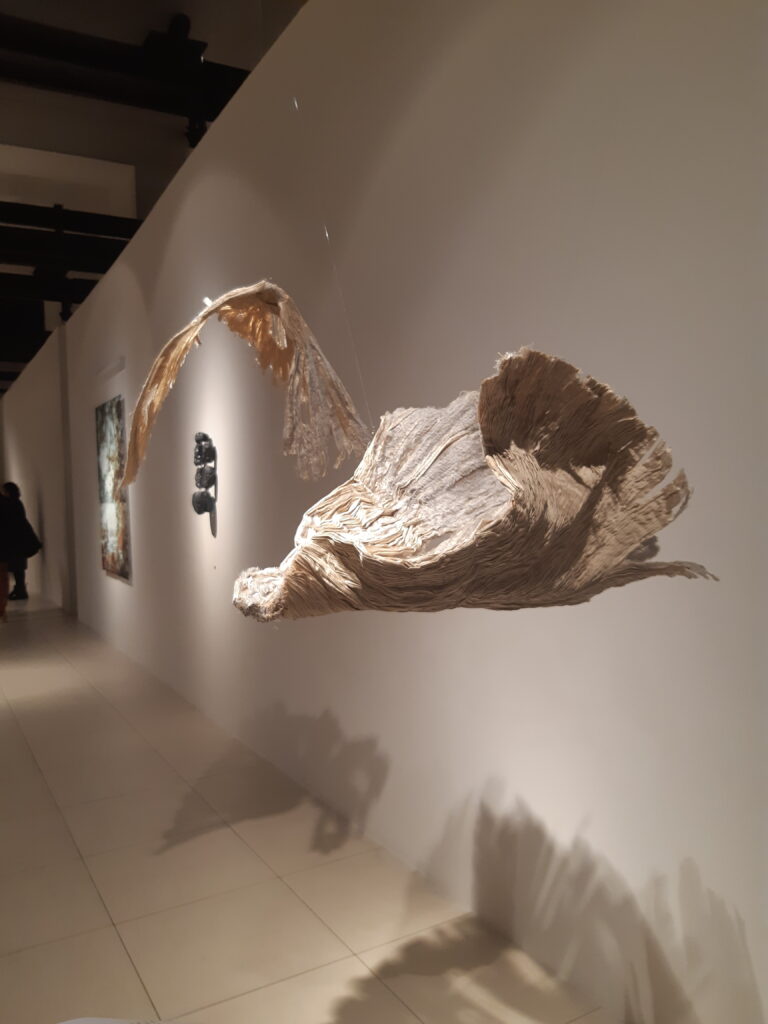 Soaring