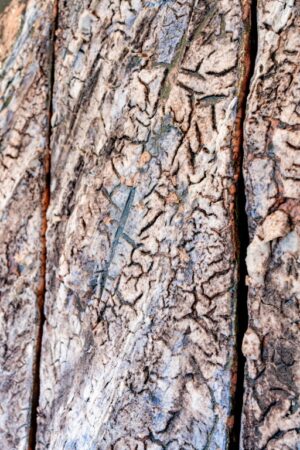 Triptyque 2 - Afbeelding 2