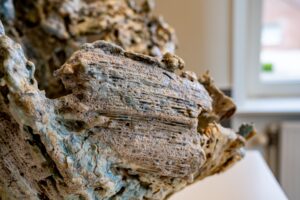 Waves - details - Afbeelding 1