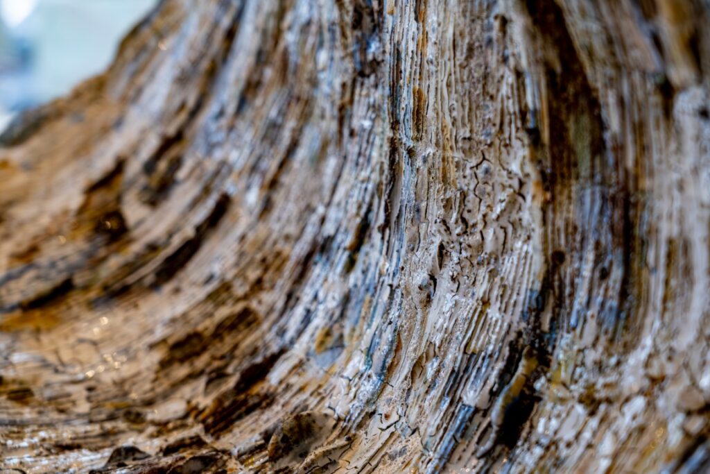 Waves - details