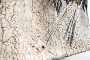 Panneau mural - Afbeelding 2