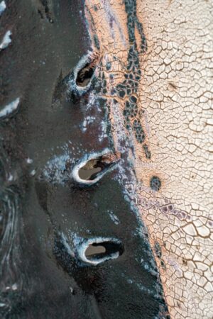 Panneau mural (beige/noir) - Afbeelding 3