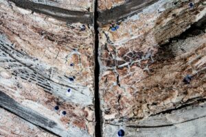 Triptyque 1 - Afbeelding 8