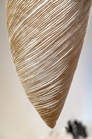 What colour is yours ? Nr 2 - Afbeelding 4