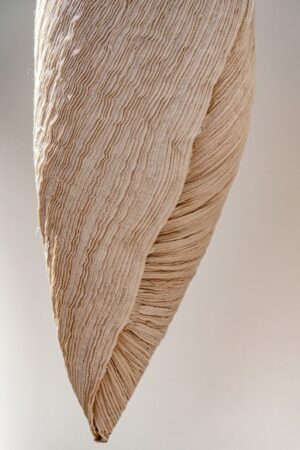 What colour is yours ? Nr 1 - Afbeelding 3