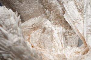 White Swan – Image 2