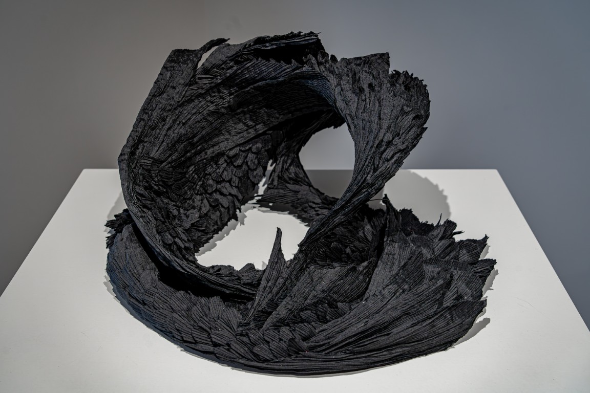 Black Swan - Afbeelding 1