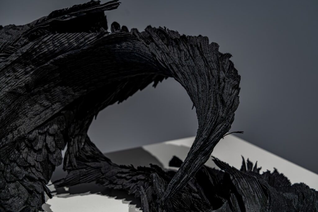 Black Swan