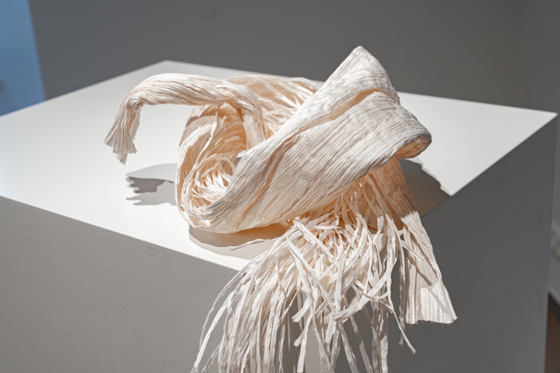 Nest of Memories – Image 1