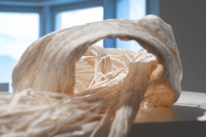 Nest of Memories – Image 2