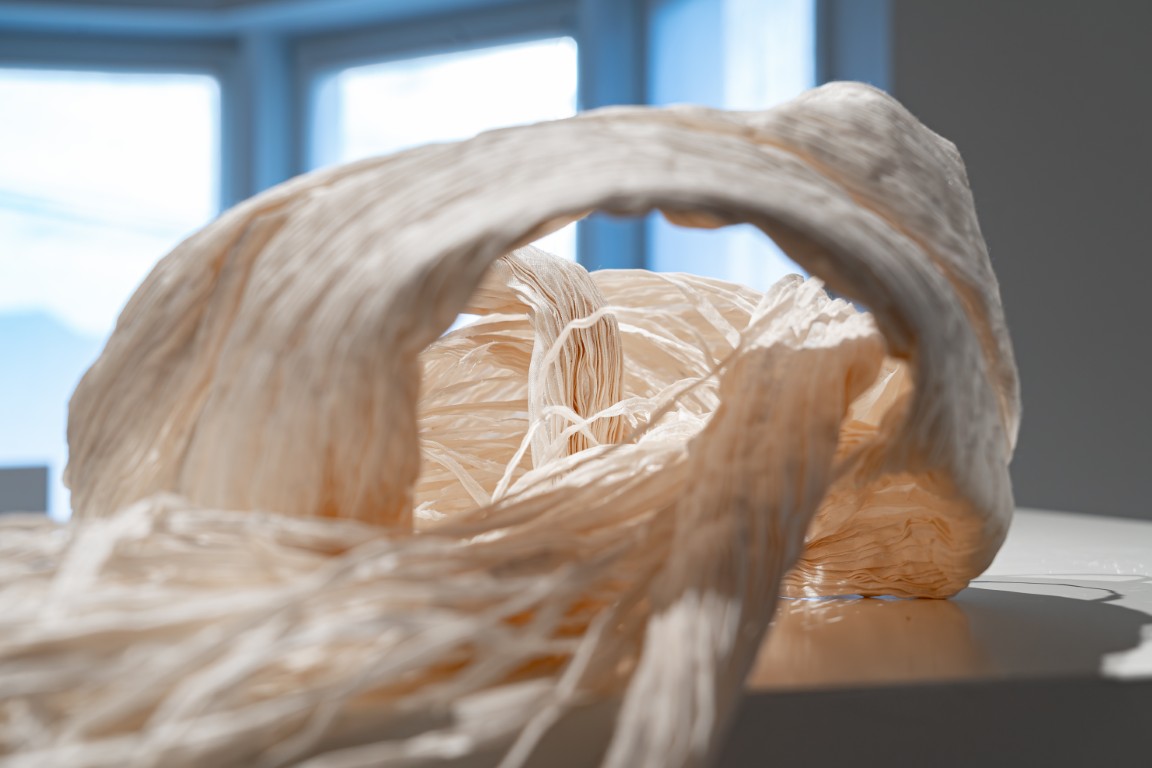 Nest of Memories – Image 2