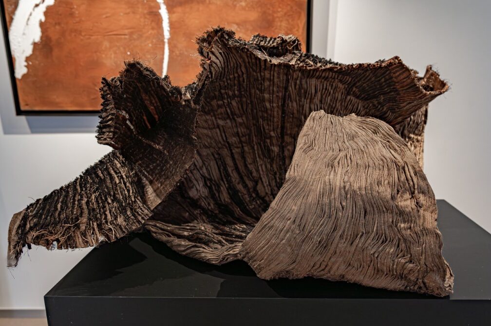 Brown wing - Image 1