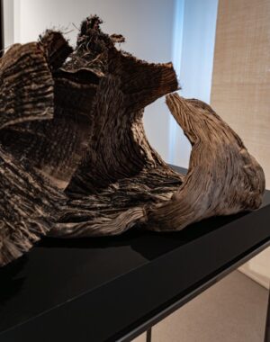 Brown wing - Image 3