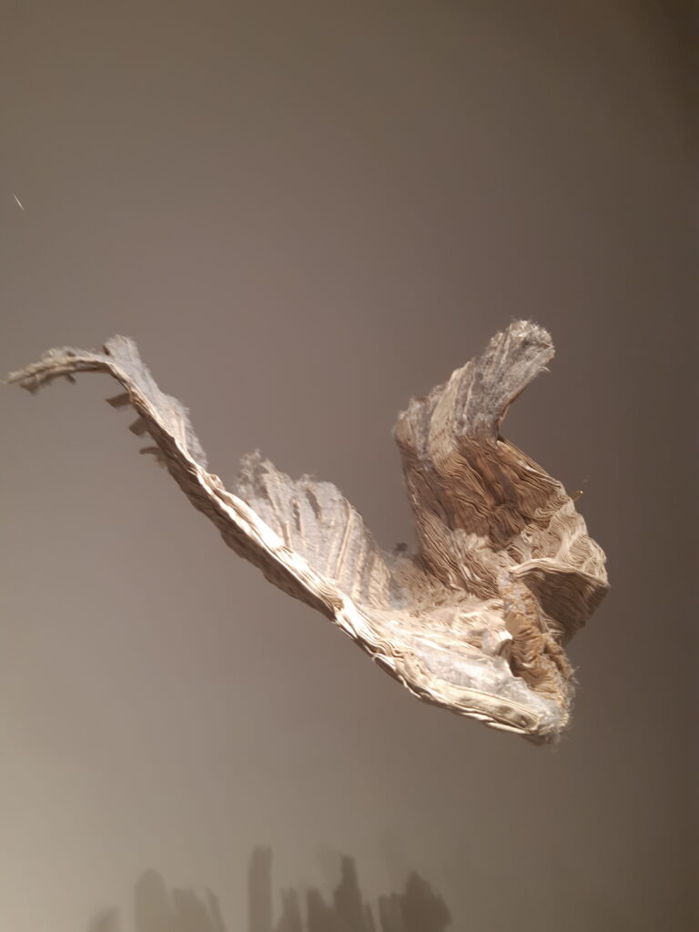Soaring