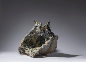 Seeds - Afbeelding 2