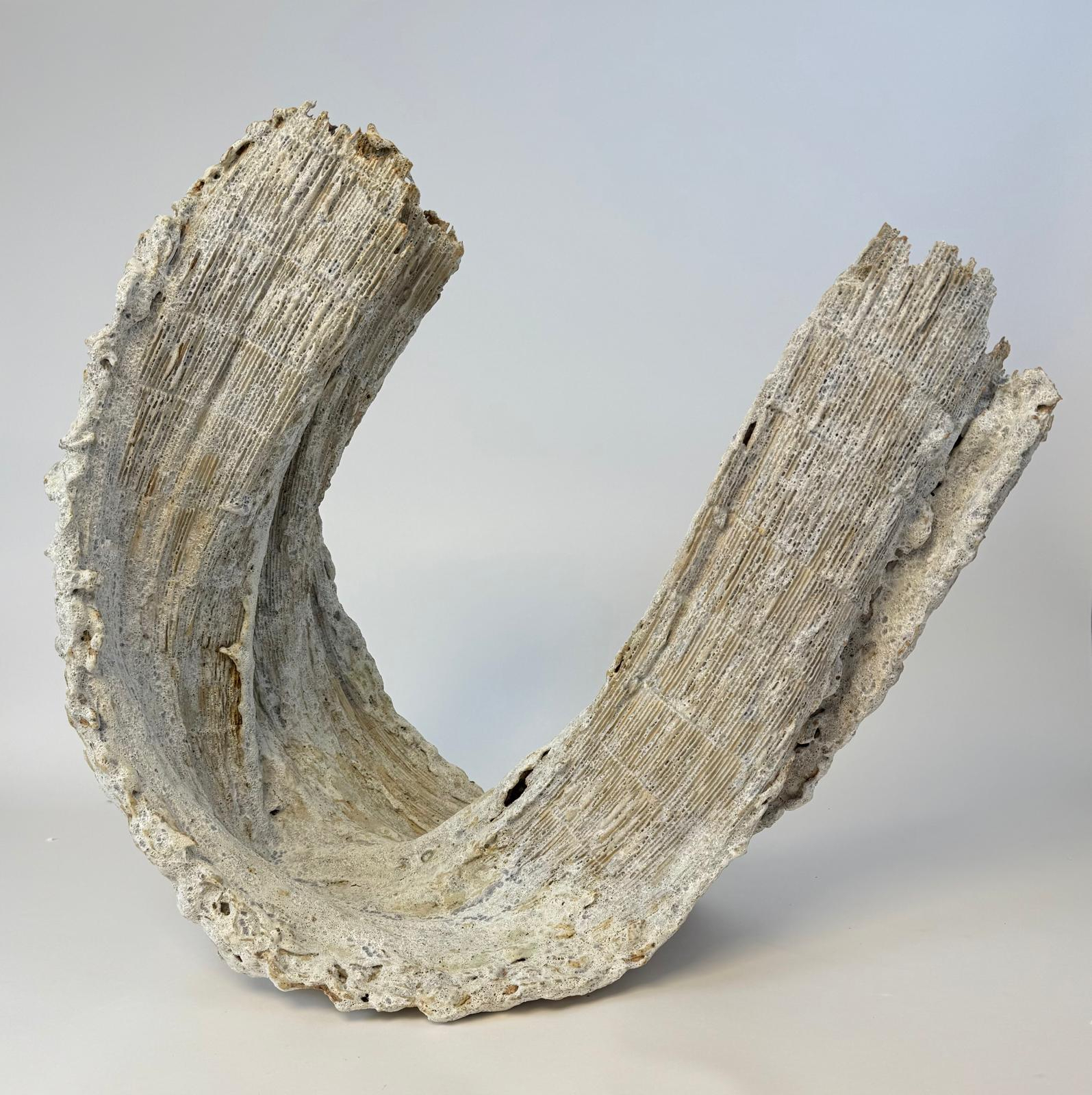 Tall wave - Afbeelding 1