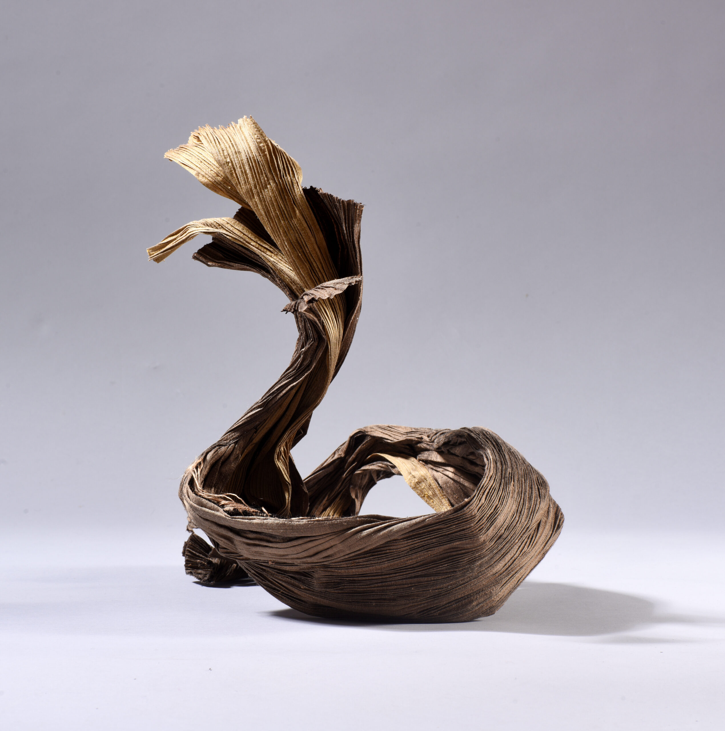 Valuable in Decaying – Image 1