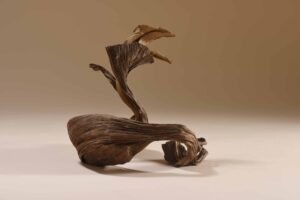 Valuable in Decaying – Image 2