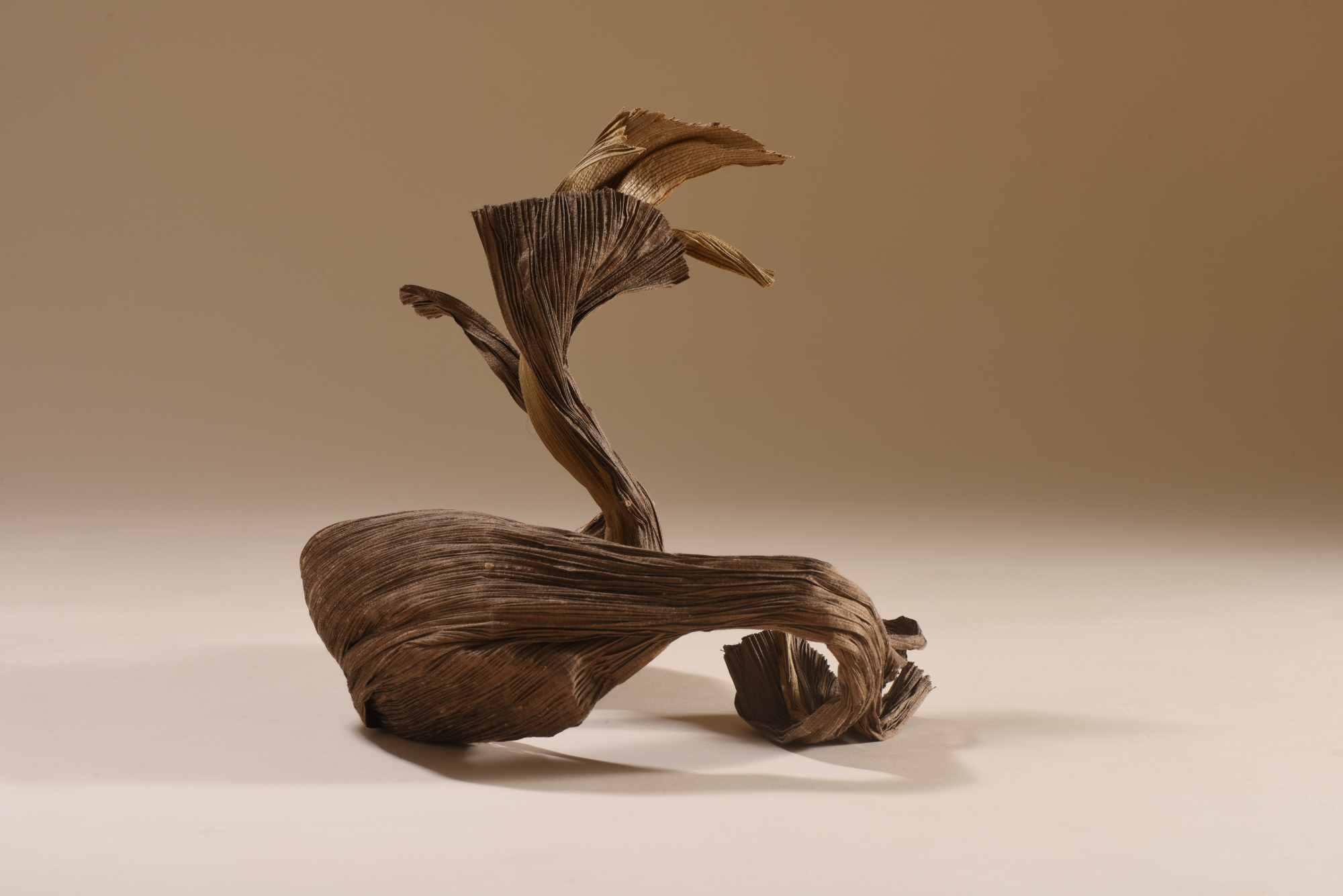 Valuable in Decaying – Image 2