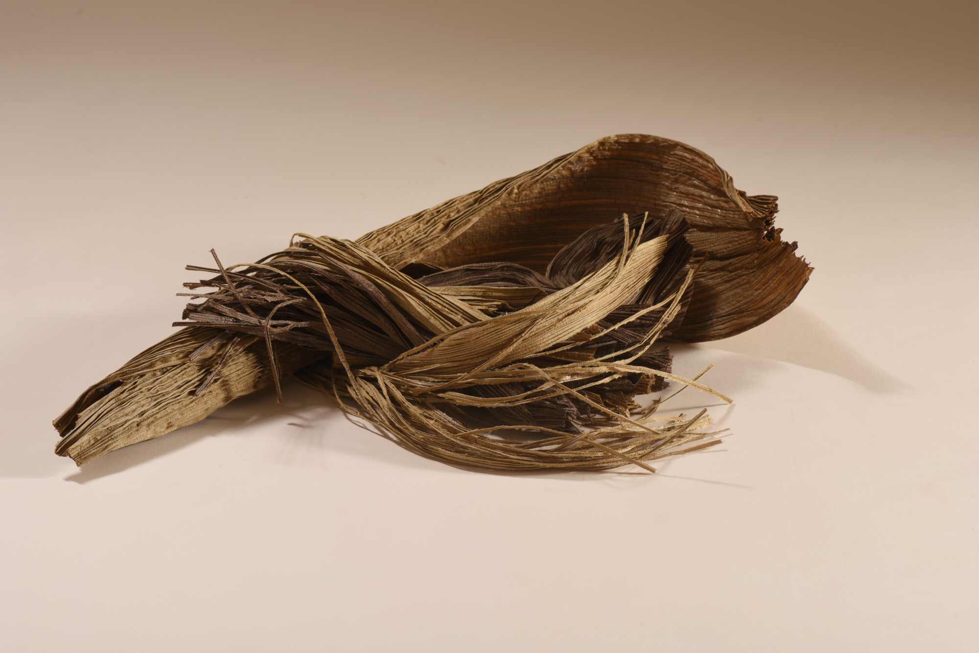 Wheathered Fragment - Afbeelding 1