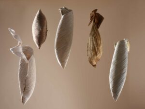 What colour is yours ? Nr 4 – Image 2