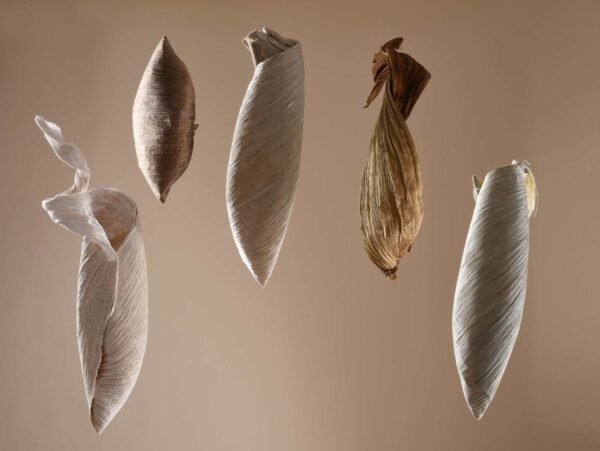 What colour is yours ? Nr 3