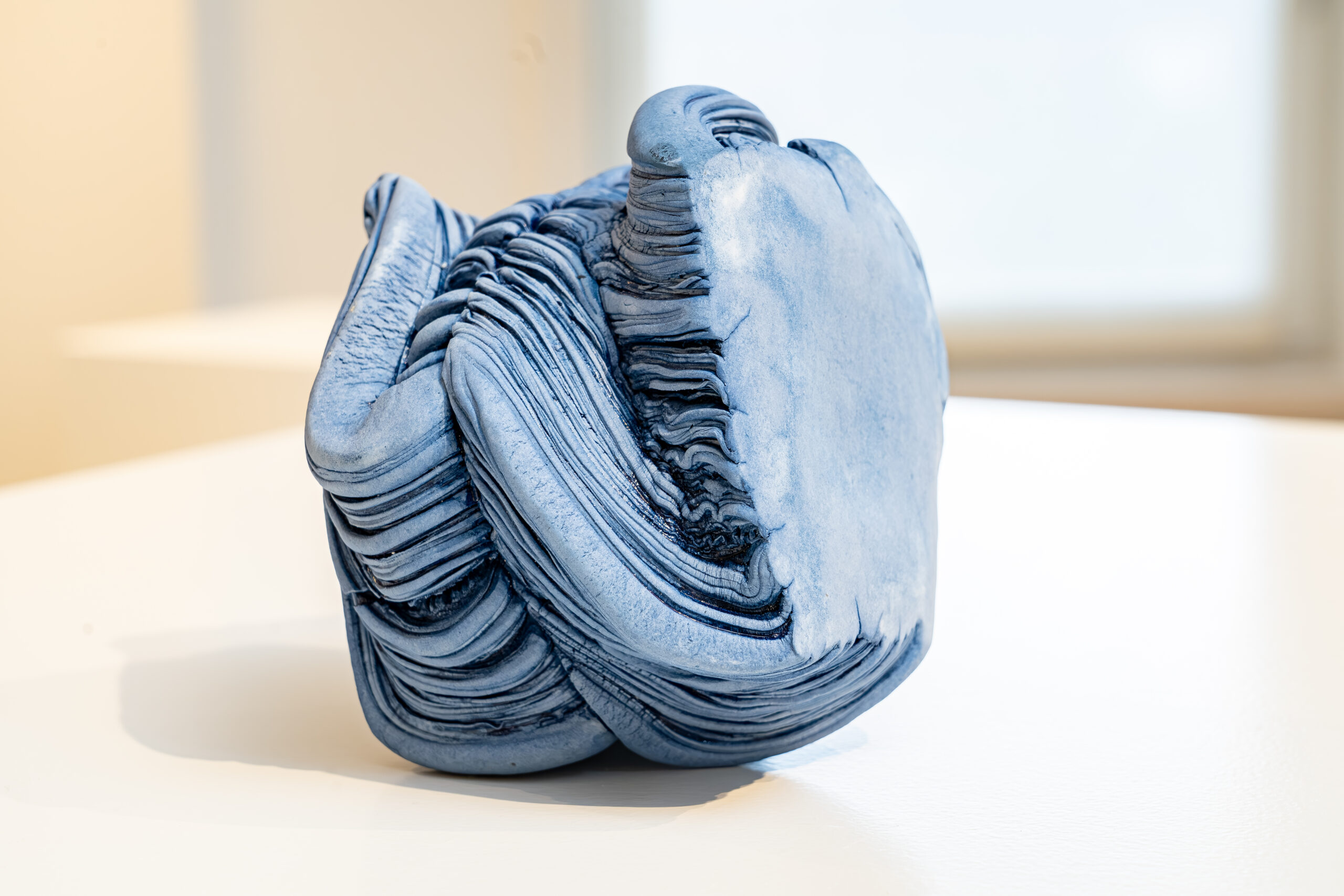 Turbulencia Fosilizada VI - Afbeelding 5