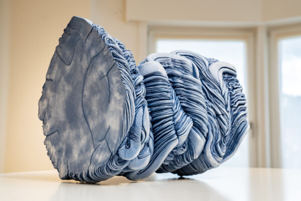 Turbulencia Fosilizada V