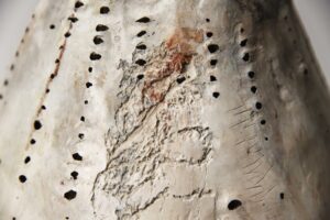 Details - Afbeelding 5