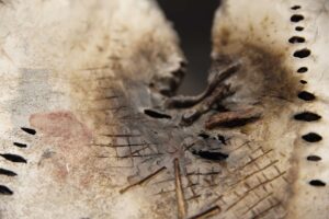 Details - Afbeelding 2