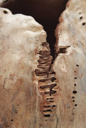 Mémoires rupestres – Image 3