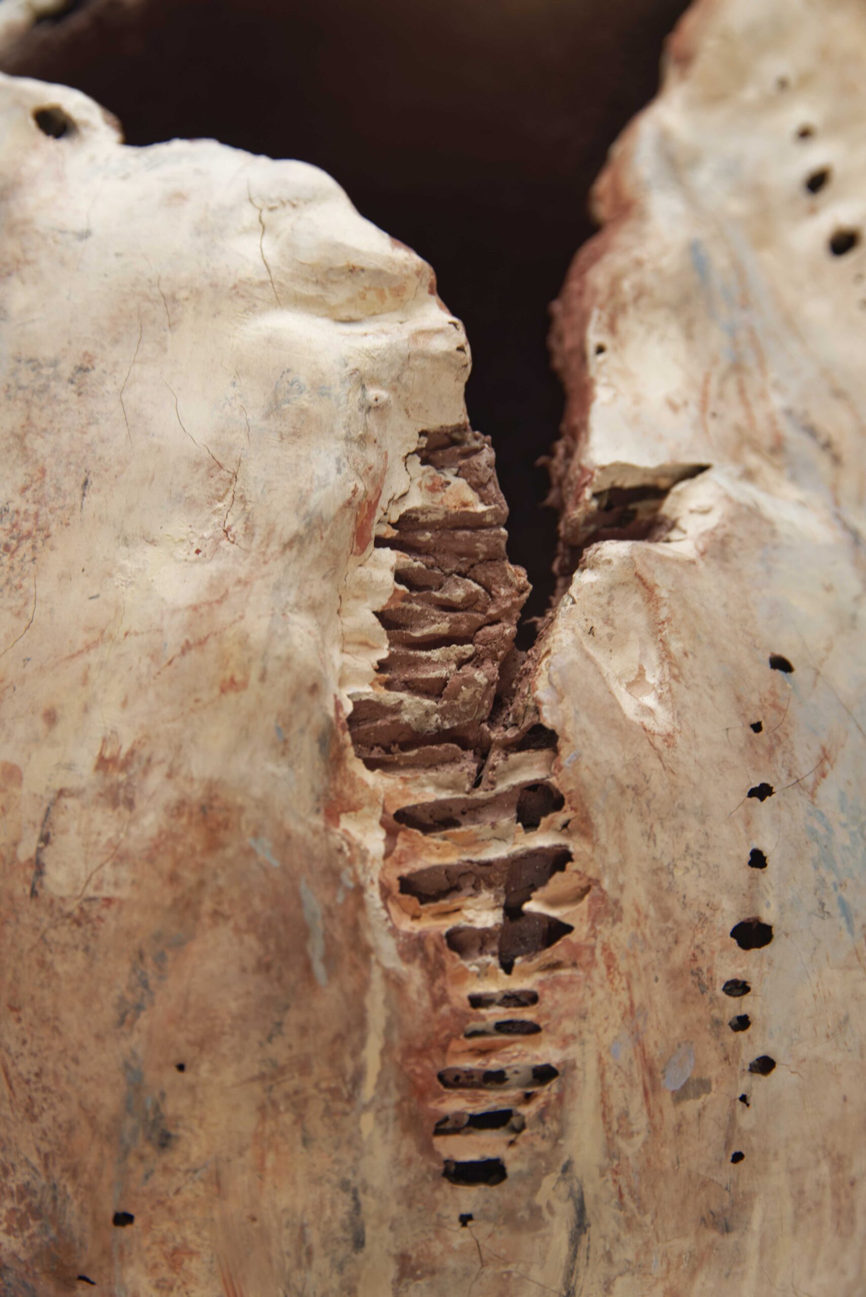 Mémoires rupestres – Image 3