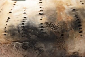 Details - Afbeelding 6