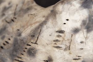 Details - Afbeelding 7