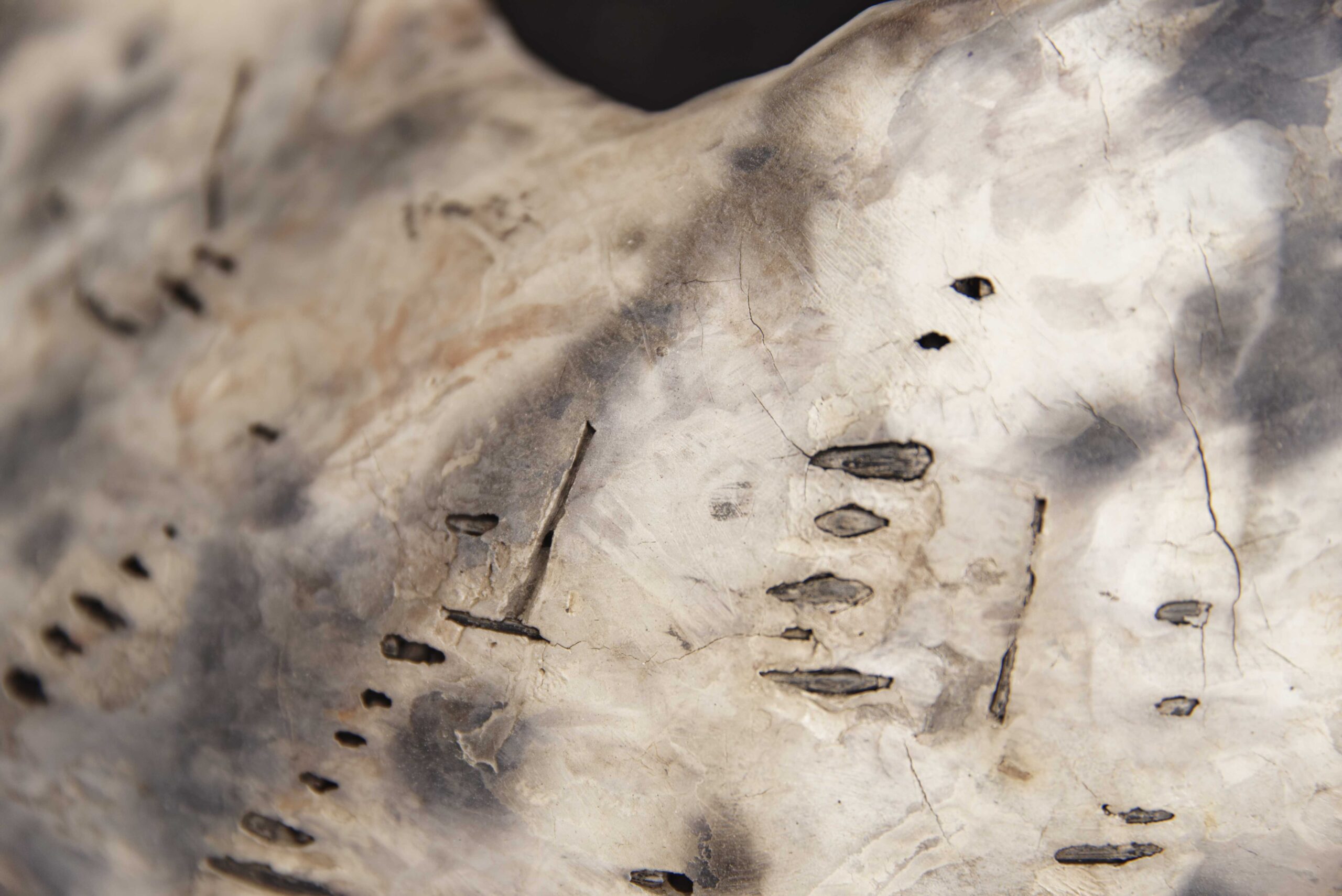 Details - Afbeelding 7