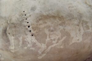 Details - Afbeelding 10