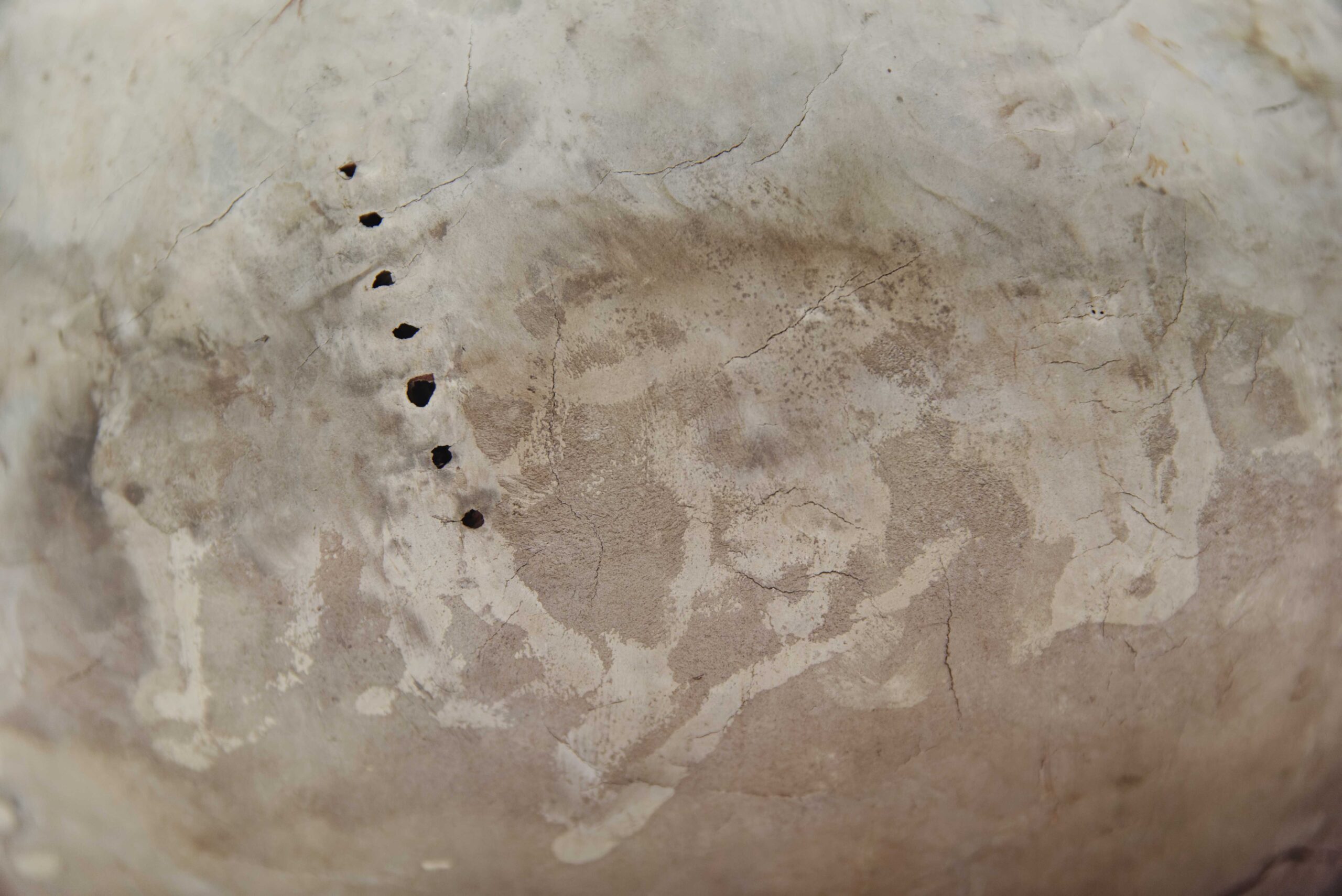 Details - Afbeelding 10