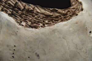 Details - Afbeelding 11