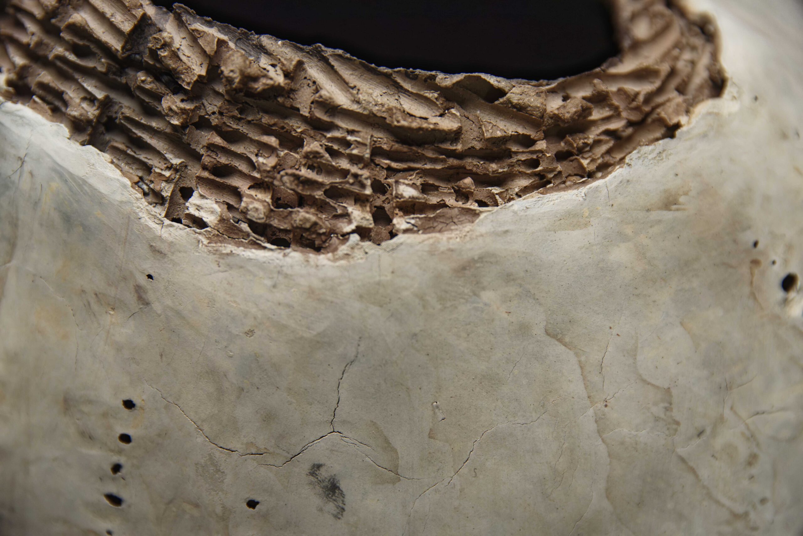 Details - Afbeelding 11