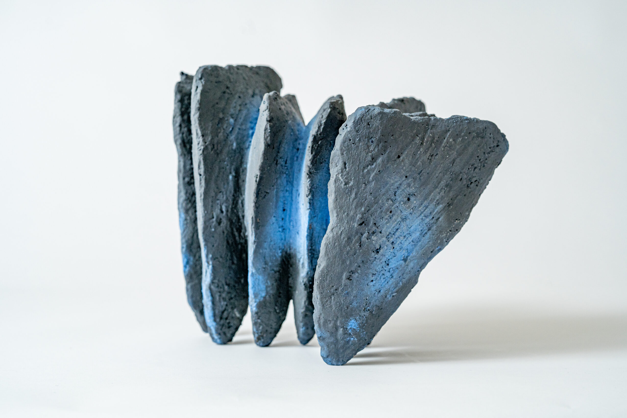 Grandes pointes bleues - Afbeelding 1