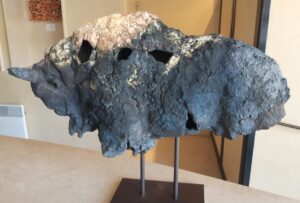 Bison 24/10 - Afbeelding 2